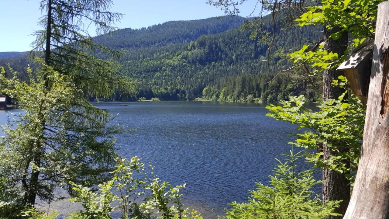 Ferienwohnung Grimmingblick - Auszeit Vom Alltag Obersdorf Bagian luar foto